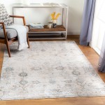 Surya Brunswick Rug 2'7" X 4' - Taupe, Light Beige