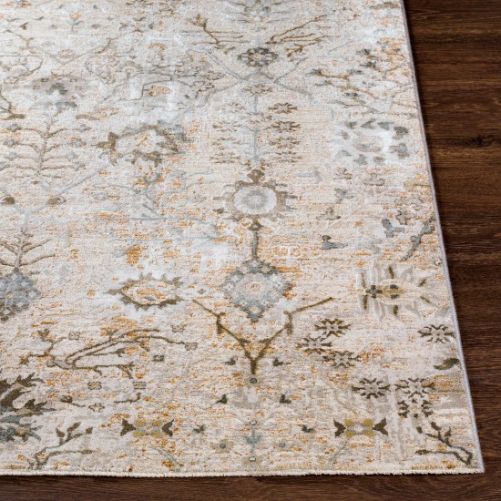 Surya Brunswick Rug 5'3" Round - Taupe, Light Beige