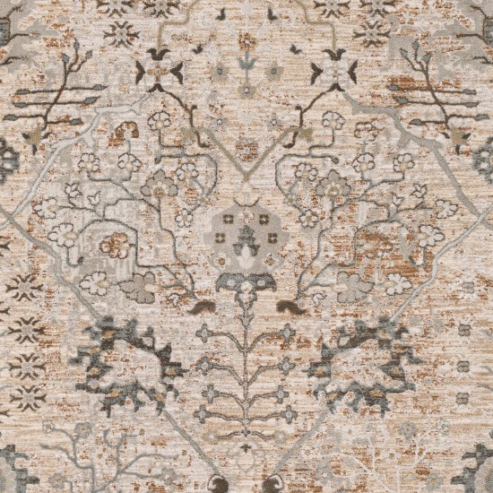 Surya Brunswick Rug 7'10" X 10'3" - Taupe, Light Beige