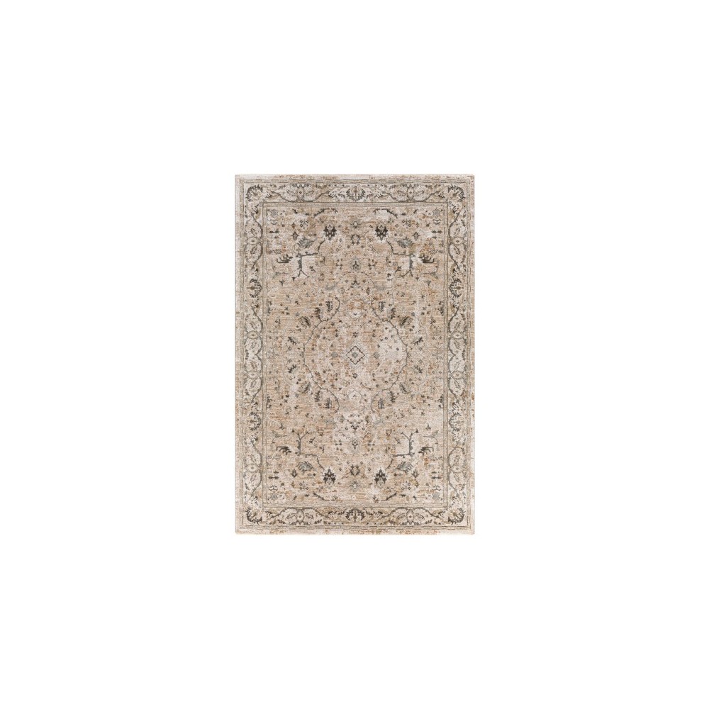 Surya Brunswick Taupe Rug 2'7" X 4'