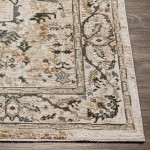 Surya Brunswick Taupe Rug 2'7" X 4'