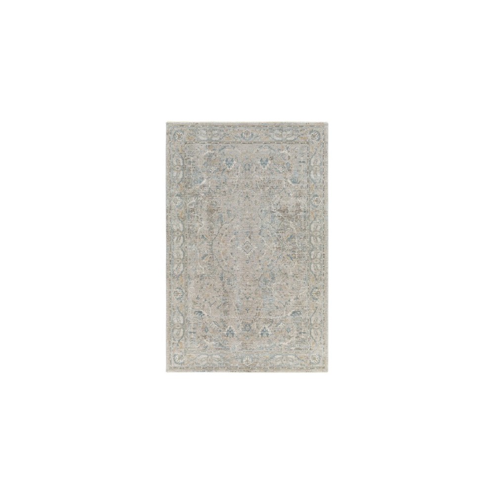 Surya Brunswick Rug 2'7" X 4' Light Beige Surya Brunswick Rug 2'7" X 4' Light Beige