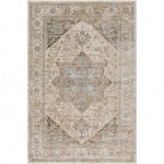 Surya Brunswick Light Beige Rug 10' X 14'