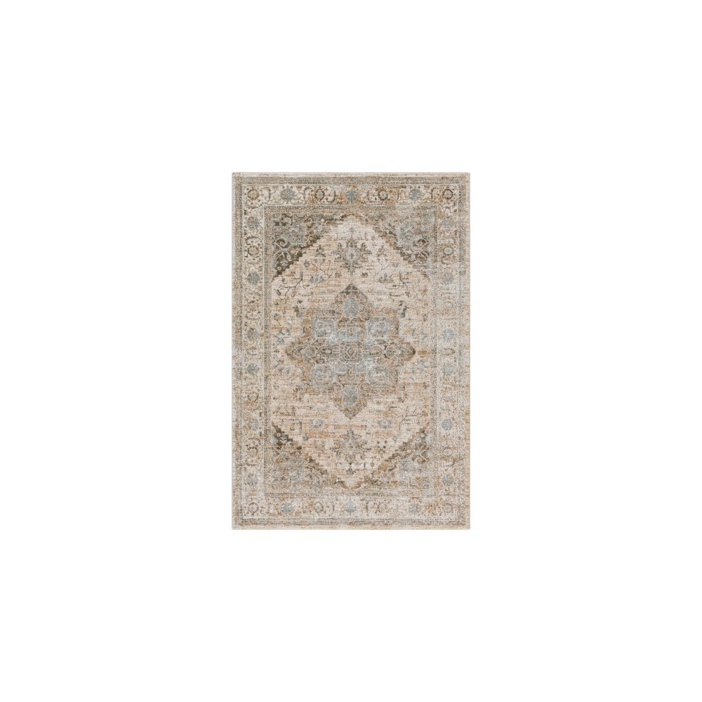 Surya Brunswick Light Beige Rug 10' X 14'