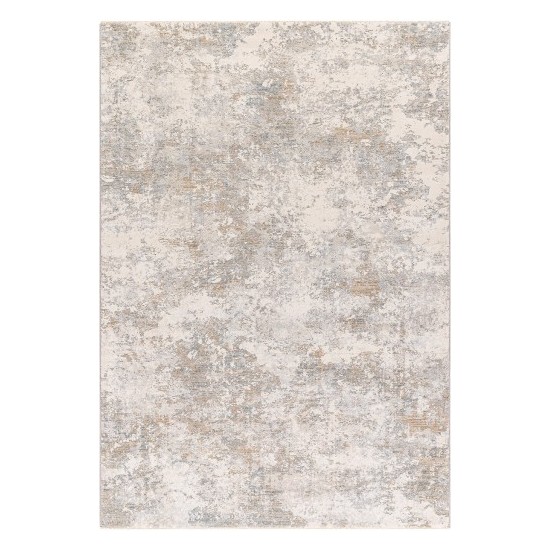 Surya Brunswick Bwk-2322 Rug 2' X 3'