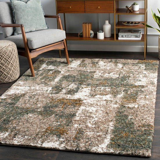 Surya Celestial Shag Medium Gray Rug 2' X 3'