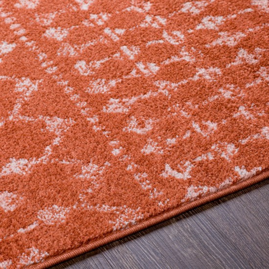 Surya Chester Rug 5'3" X 7'3" - Brick Red, Dusty Coral