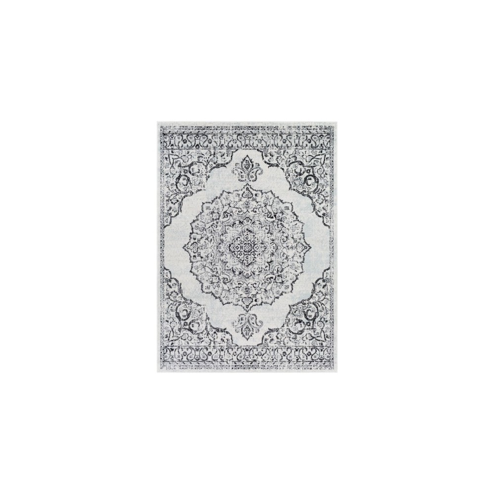 Surya Chester Black Rug 6'7" X 9'