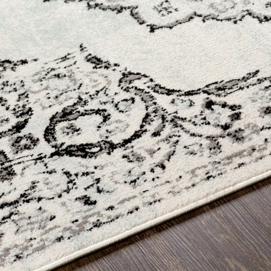 Surya Chester Black Rug 6'7" X 9'