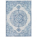 Surya Chester Rug 6'7" X 9' - Blue, Light Blue