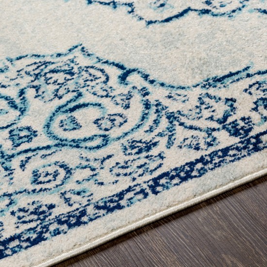 Surya Chester Rug 6'7" X 9' - Blue, Light Blue