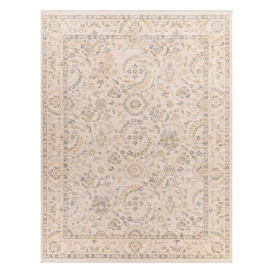 Surya Chicago Chg-2300 Rug 7'10" X 10'