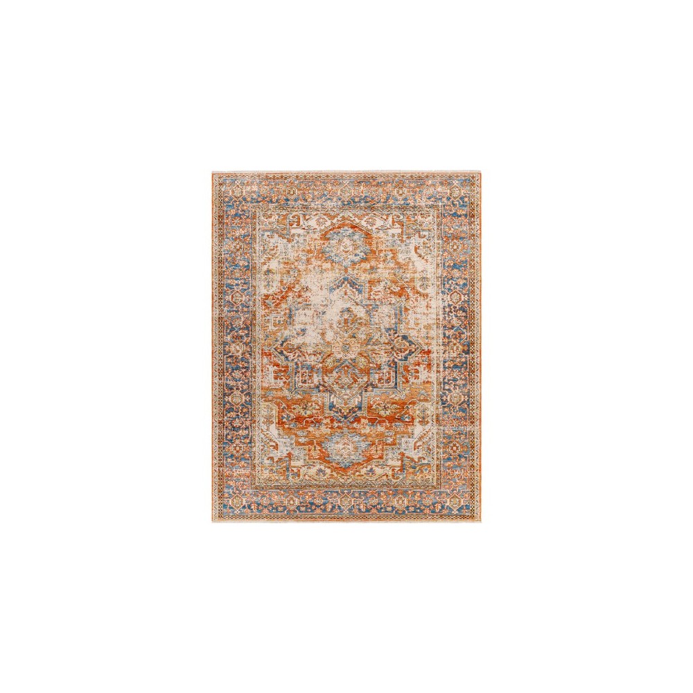 Surya Chicago Chg-2301 Rug 5'3" X 7'9" Surya Chicago Chg-2301 Rug 5'3" X 7'9"