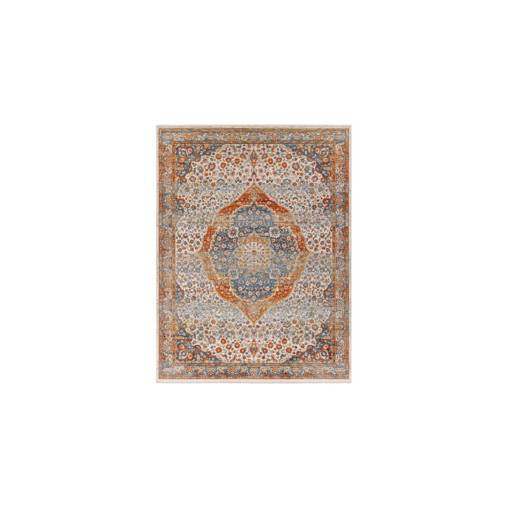 Surya Chicago Chg-2306 Rug 5'3" X 7'9" Surya Chicago Chg-2306 Rug 5'3" X 7'9"