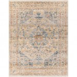 Surya Chicago Chg-2308 Rug 8'10" X 12'7"