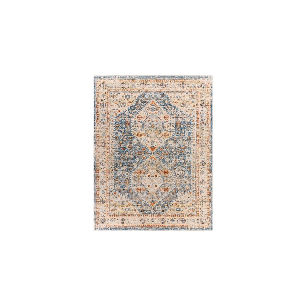 Surya Chicago Chg-2309 Rug 11'11" X 15'7"