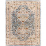 Surya Chicago Chg-2309 Rug 1'11" X 2'11"