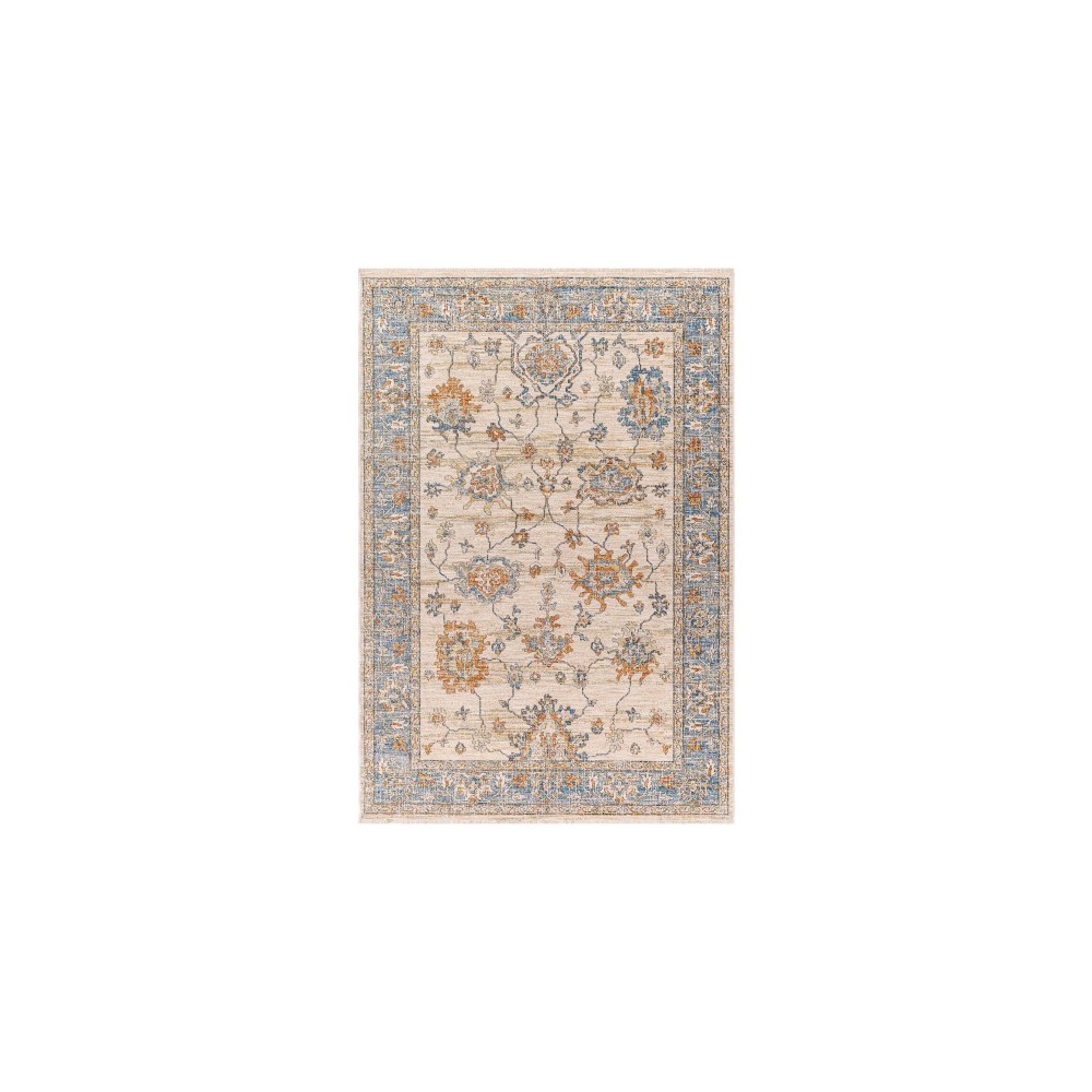 Surya Chicago Chg-2311 Rug 5'3" X 7'9"