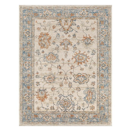 Surya Chicago Chg-2311 Rug 7'10" X 10'