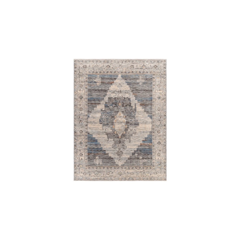 Surya Chicago Chg-2314 Rug 2'10" X 8'