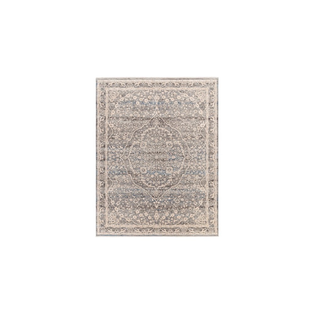 Surya Chicago Chg-2315 Rug 2'10" X 11'11"