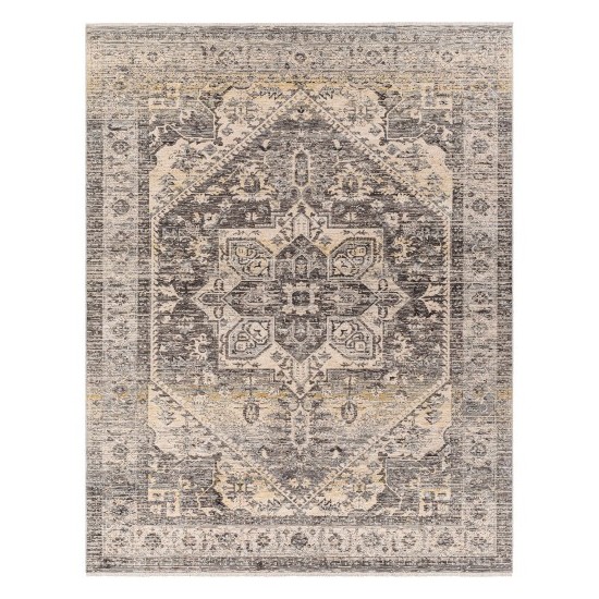 Surya Chicago Chg-2316 Rug 11'11" X 15'7"