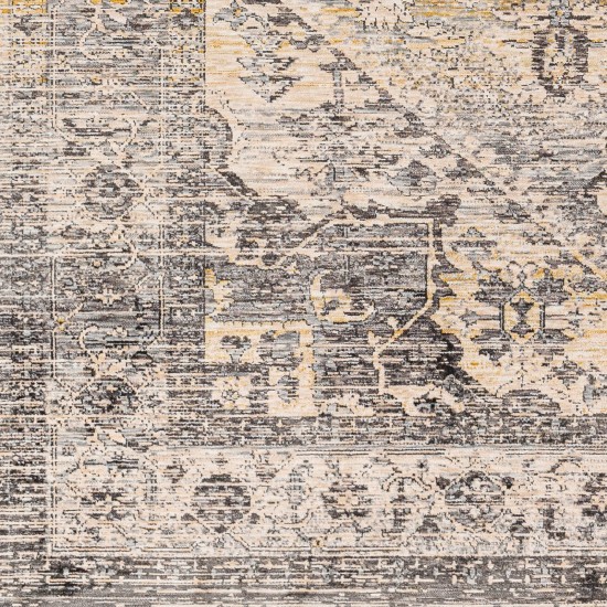 Surya Chicago Chg-2316 Rug 11'11" X 15'7"