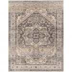 Surya Chicago Chg-2316 Rug 3'11" X 5'10"