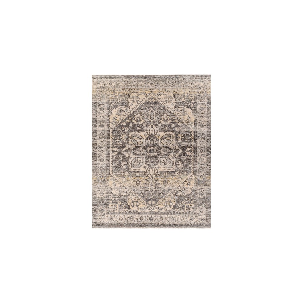 Surya Chicago Chg-2316 Rug 3'11" X 5'10" Surya Chicago Chg-2316 Rug 3'11" X 5'10"