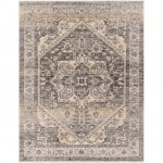 Surya Chicago Chg-2316 Rug 6'7" Round