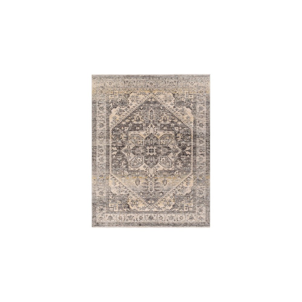 Surya Chicago Chg-2316 Rug 6'7" Round