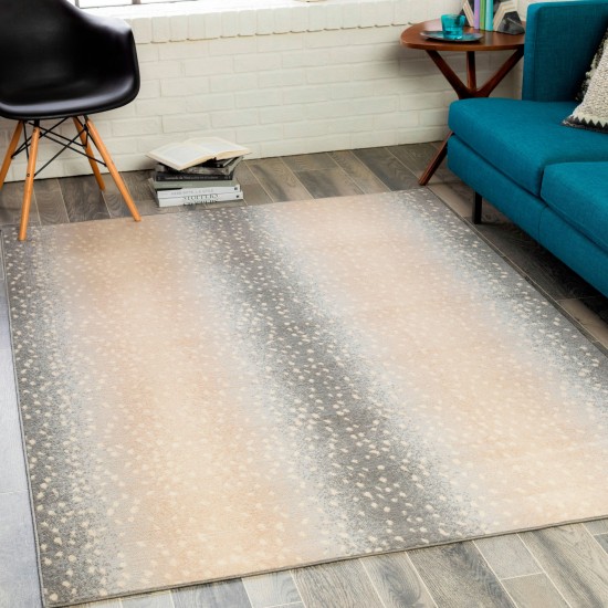 Surya City Light Rug 5'3" X 7'3" - Gray & Light Slate