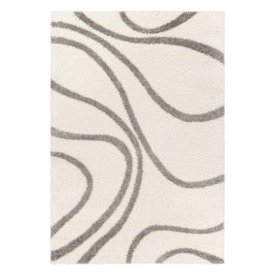 Surya Cloudy Shag Cdg-2300 Rug 5'3" X 7'