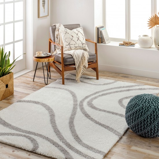 Surya Cloudy Shag Cdg-2300 Rug 5'3" X 7'