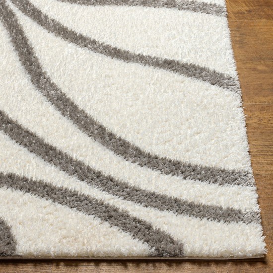 Surya Cloudy Shag Cdg-2300 Rug 7'10" X 10'
