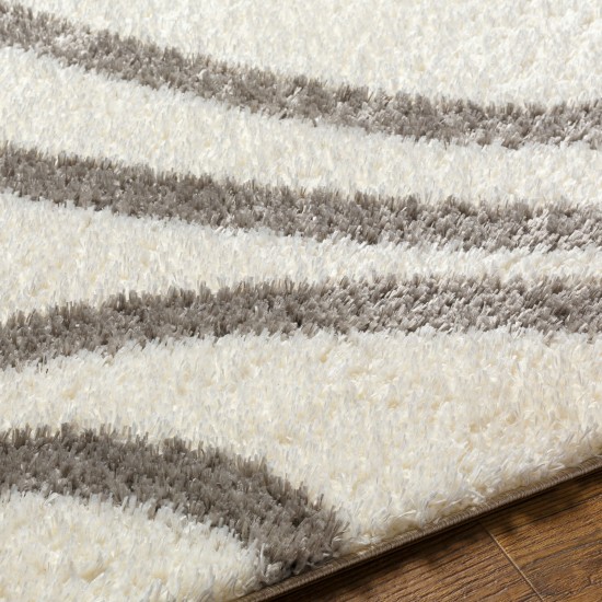 Surya Cloudy Shag Cdg-2300 Rug 7'10" X 10'
