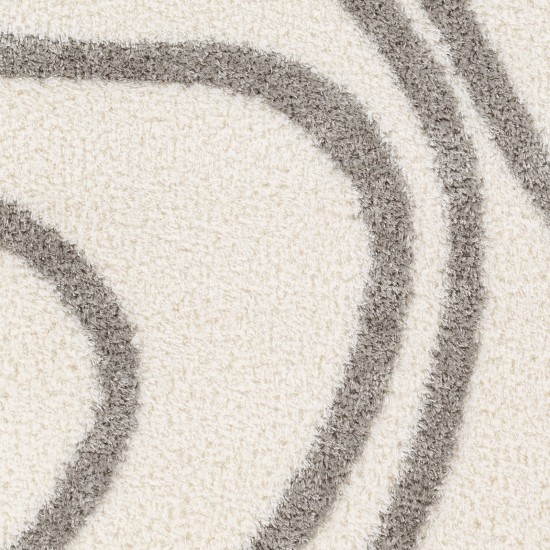Surya Cloudy Shag Cdg-2300 Rug 7'10" X 10'