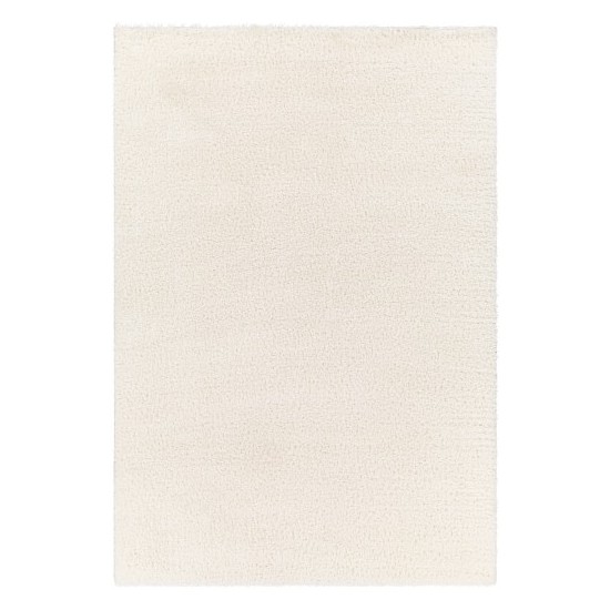 Surya Cloudy Shag Cdg-2302 Rug 6'7" X 9'