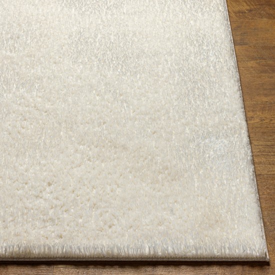 Surya Cloudy Shag Cdg-2302 Rug 6'7" X 9'