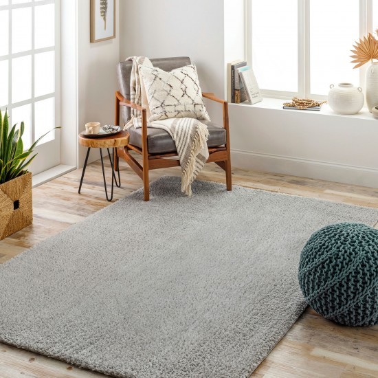 Surya Cloudy Shag Cdg-2303 Rug 5'3" X 7'