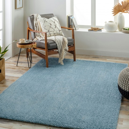 Surya Cloudy Shag Cdg-2305 Rug 5'3" X 7'