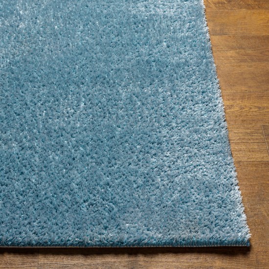 Surya Cloudy Shag Cdg-2305 Rug 6'7" X 9'