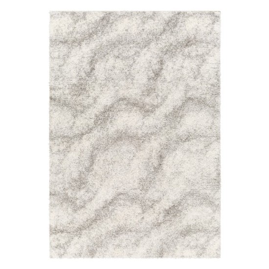 Surya Cloudy Shag Cdg-2306 Rug 5'3" X 7'