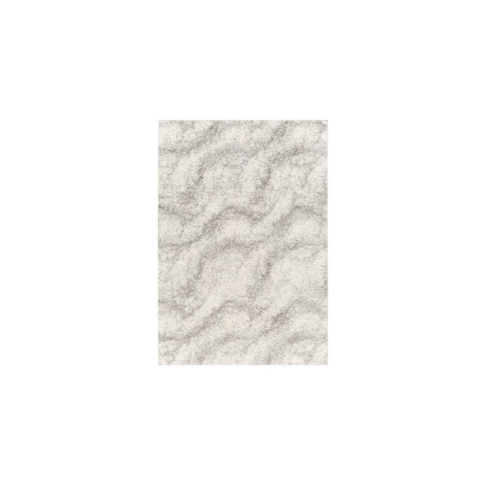 Surya Cloudy Shag Cdg-2306 Rug 5'3" X 7' Surya Cloudy Shag Cdg-2306 Rug 5'3" X 7'