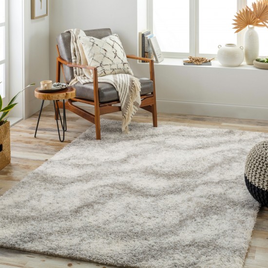 Surya Cloudy Shag Cdg-2306 Rug 5'3" X 7'