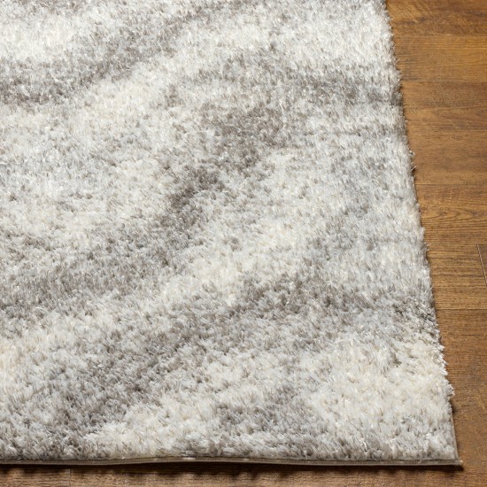 Surya Cloudy Shag Cdg-2306 Rug 5'3" X 7'