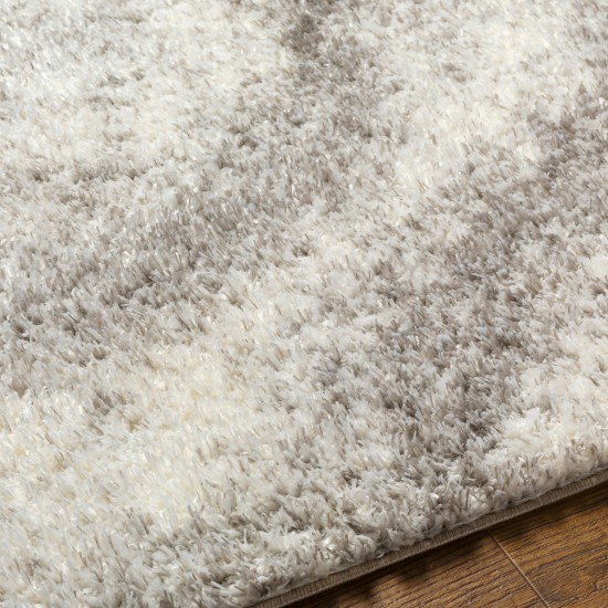 Surya Cloudy Shag Cdg-2306 Rug 5'3" X 7'