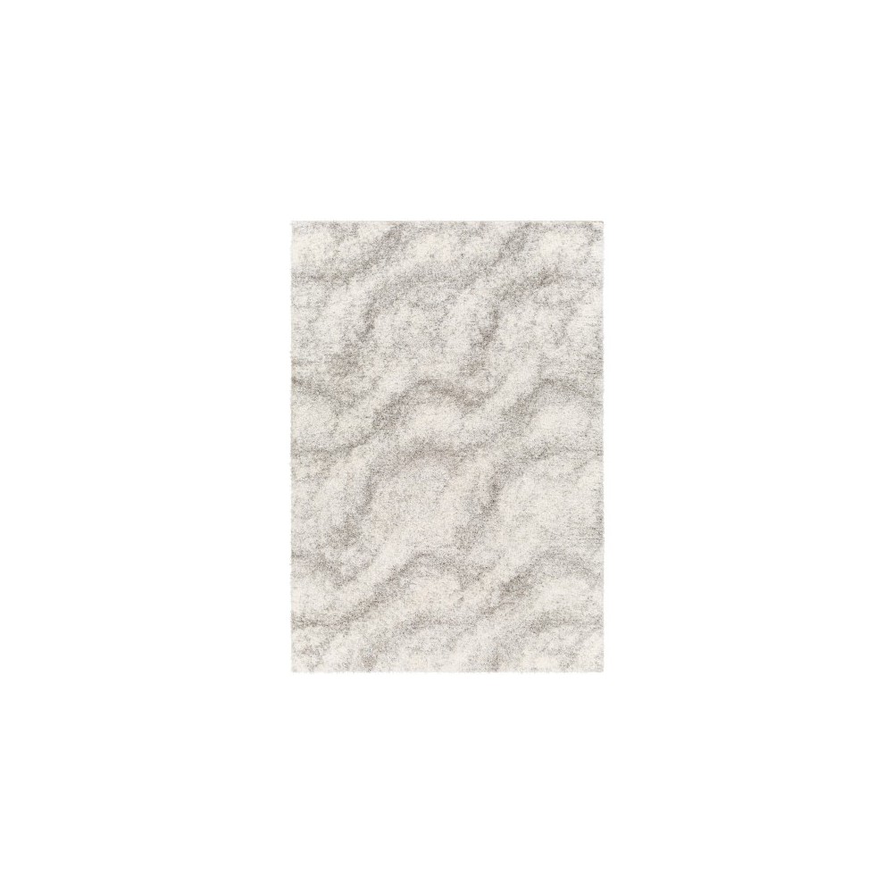 Surya Cloudy Shag Cdg-2306 Rug 6'7" X 9'