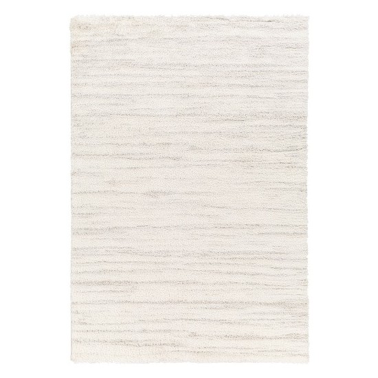 Surya Cloudy Shag Cdg-2307 Rug 5'3" X 7'