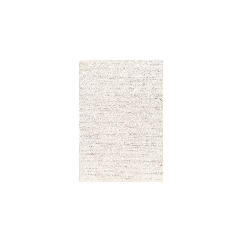Surya Cloudy Shag Cdg-2307 Rug 5'3" X 7' Surya Cloudy Shag Cdg-2307 Rug 5'3" X 7'